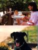 Old Family Picture Book 015.jpg